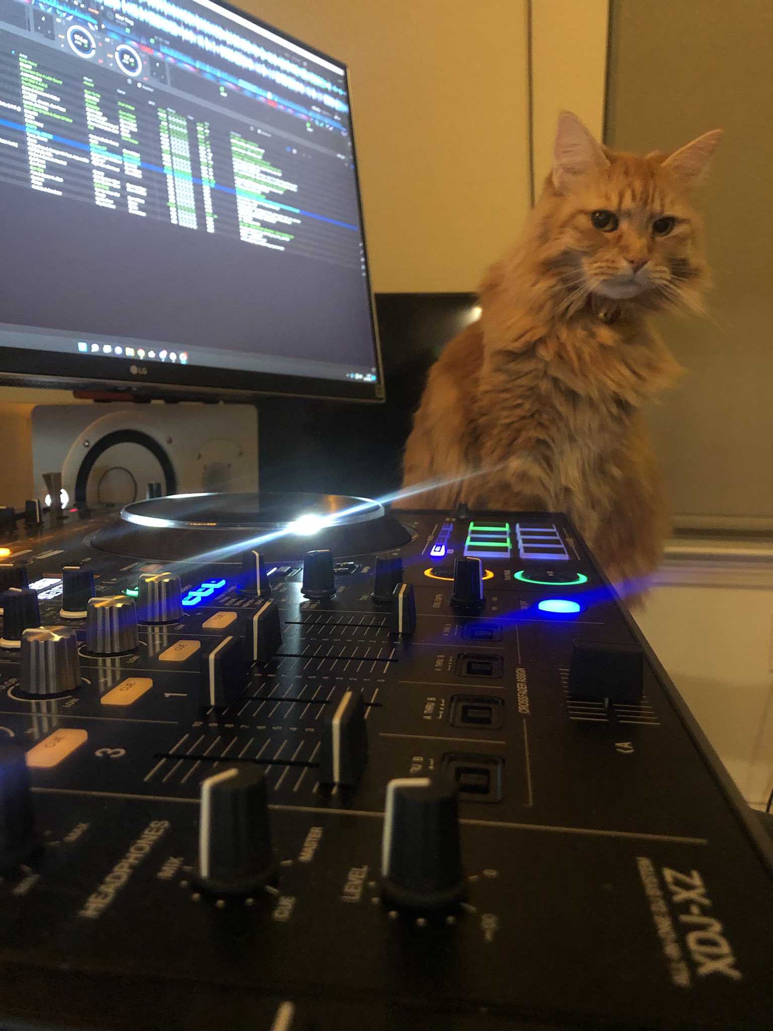 GiantWaffle on Twitter "What’s she working on? https//t.co/vh9U3TwutA