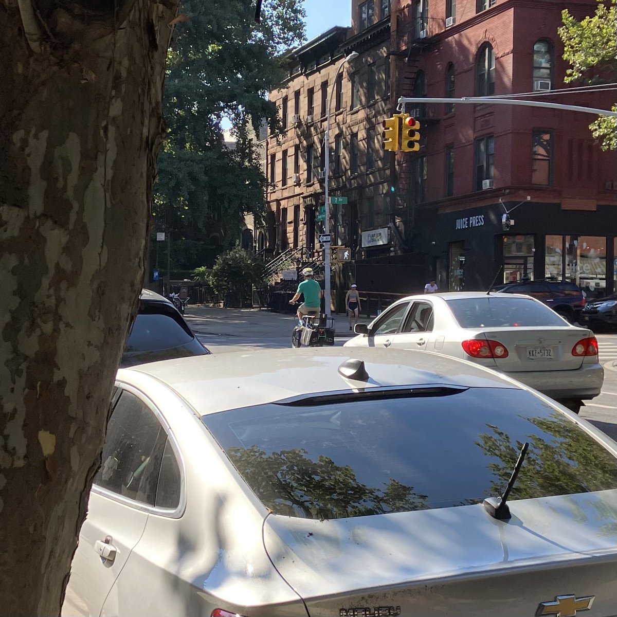 William Levin tweet media