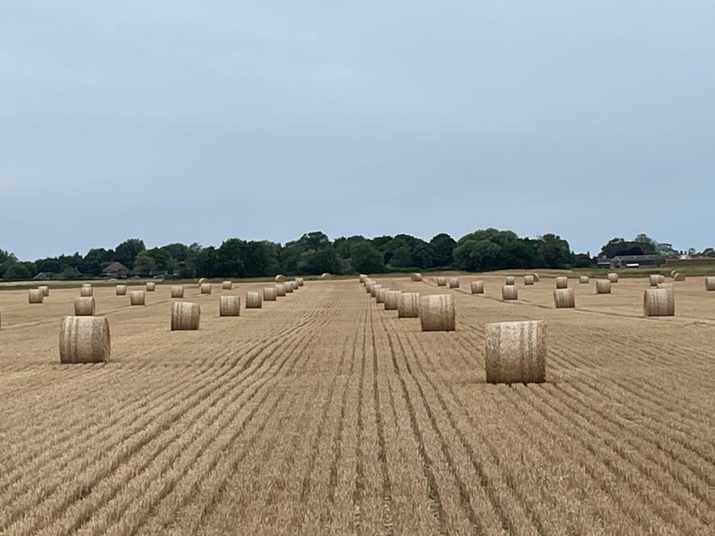 KWFeeds's tweet photo. Clive Goulsbra proudly backs #Farm24 as a #beef, grass and #arablefarmer.
#KWFeeds are proud to work with our feed customers, showing the passion and commitment it takes to produce the food we eat
#TraffordGold #KWPerformanceFeeds @Morrisons @FamersGuardian https://t.co/MevO4E0XC6
