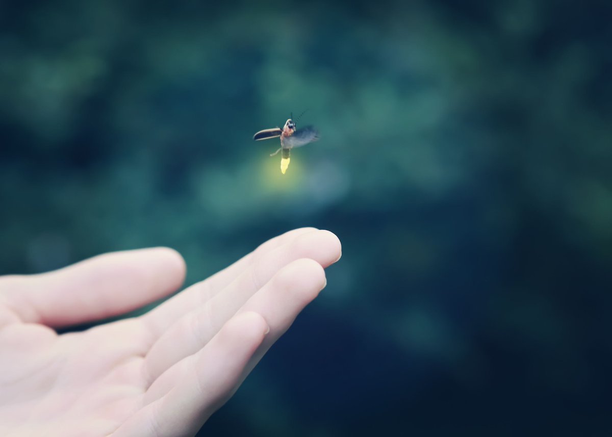 FINNPartners's tweet photo. How can organizations communicate economic, environmental, and #socialimpact and create a stronger brand identity built on purpose and trust? @Amyterp, #CSR and Social Impact Lead, offers solutions to effect meaningful change ➡️https://t.co/hjCZVJkEZs #Purpose #Communications https://t.co/3gWTuiHIHI