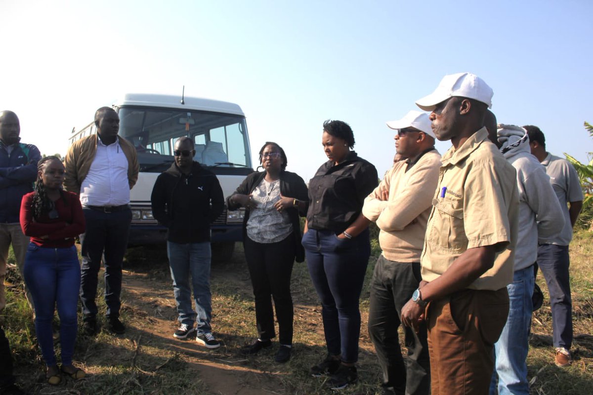 Our programmes team currently in Mozambique harvesting evidence based lessons from our fruit &amp; veg programme. The programme builds smallholder's capacity to produce according to safety standards &amp; linking them to formal markets for sustainable impact. <a href="/NLinZimbabwe/">Dutch Embassy Harare 🇳🇱</a> <a href="/EU_Commission/">European Commission</a>