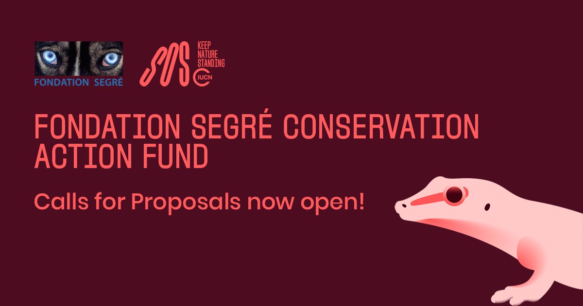 Did you know that 21% of all reptile species are threatened with extinction?

If you can make a difference, apply now to the latest <a href="/IUCNsos/">IUCN Save Our Species</a> Calls for Proposals under the Fondation Segé Conservation Action Fund:

ow.ly/pPRs50KazXK