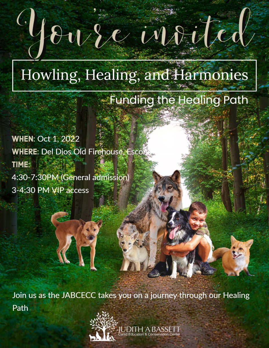FoxesCupcakes's tweet photo. Howling, Healing, and Harmonies https://t.co/PiYNe0A9Ck https://t.co/XiFFv8ANZa