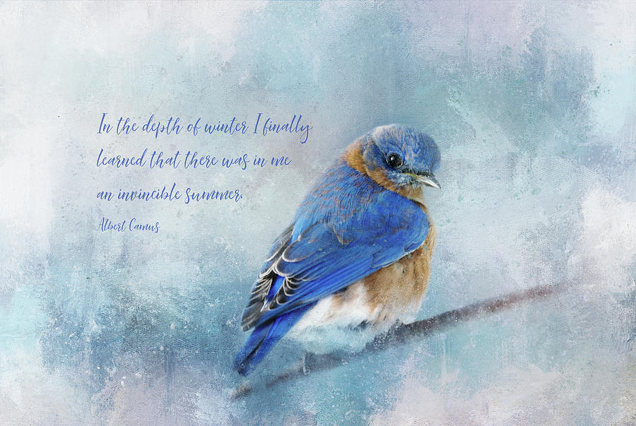 TerryIKON's tweet photo. "Hope in Winter" by Terry Davis https://t.co/Wpd6qgaGI7
#Hope #Winter #Bird #Wisdom #Quote #Txture #TerryDavis @TerryIKON https://t.co/dEY1anoDTo