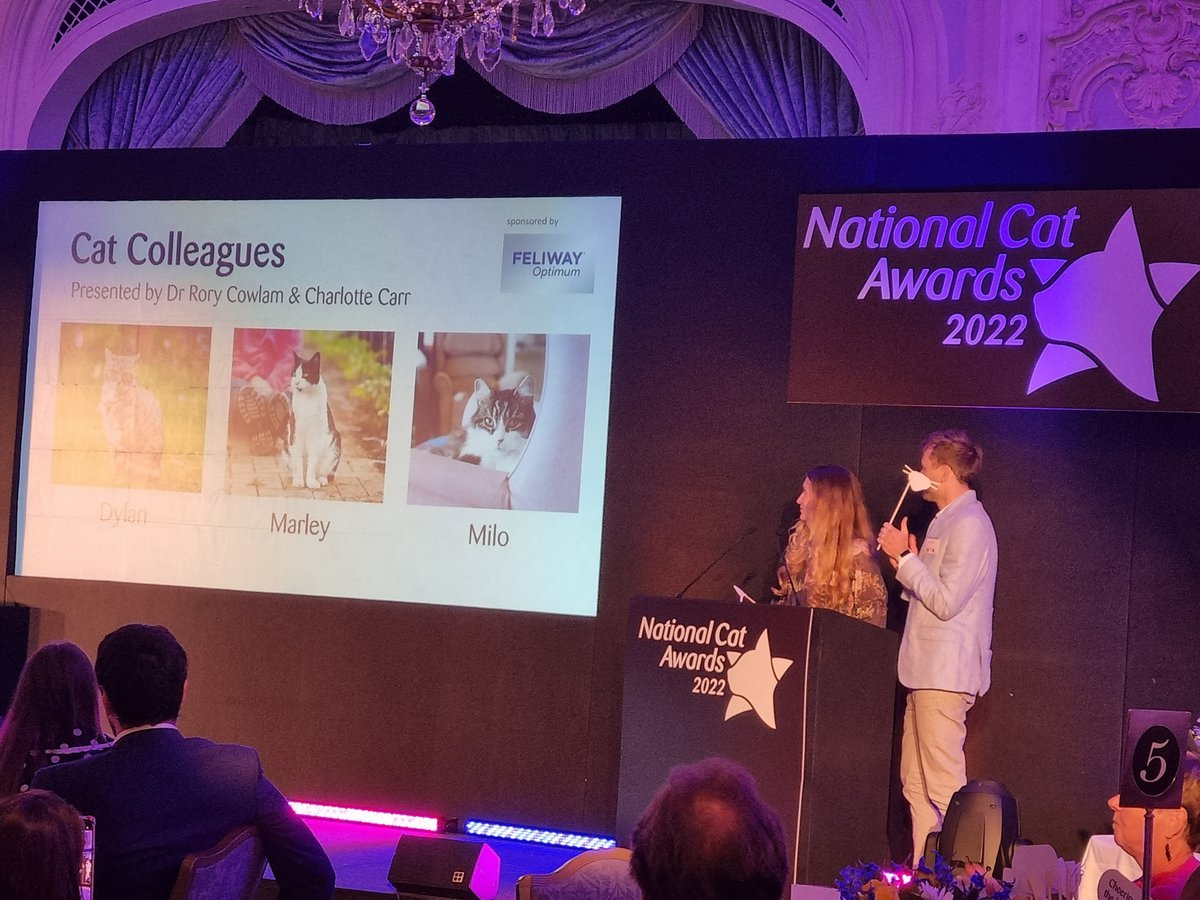 We have @rorythevet up next, who’s presenting our new #CatColleagues category, which is sponsored by our friends at @Feliway. This year we wanted to celebrate those cats who bring joy to the workplace or make working from home a pleasure. #NationalCatAwards