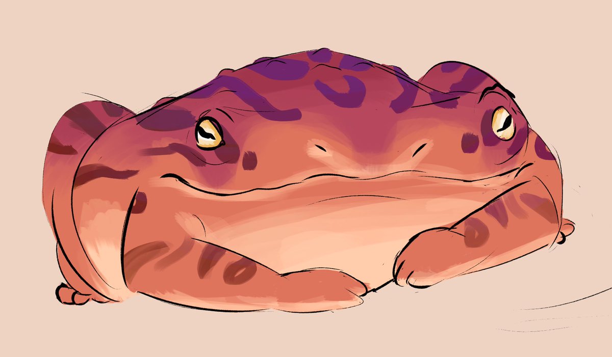 What animal should we add to our game next? 

Giant Snail, Jerboa, Tortoise or Frog? 

You have one week to decide! Poll in the comment below👇