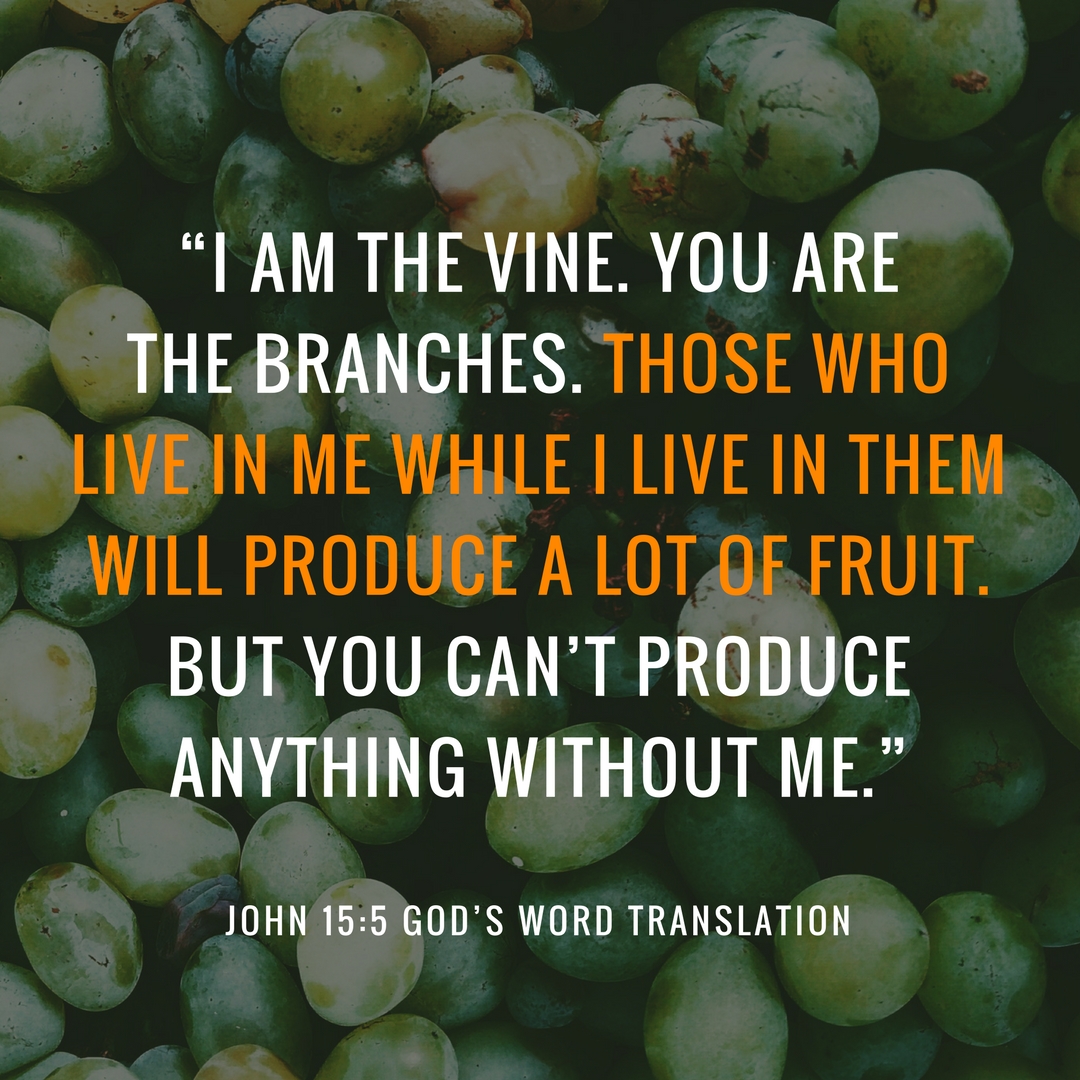 Gods_Word_Bible's tweet photo. Favorite #Bible Verses—a Comparison of John 15:5 in four translations https://t.co/qhPxQ0Y0jD #Vine #Branches #LiveInChrist #Fruit https://t.co/lOyW28CpDN