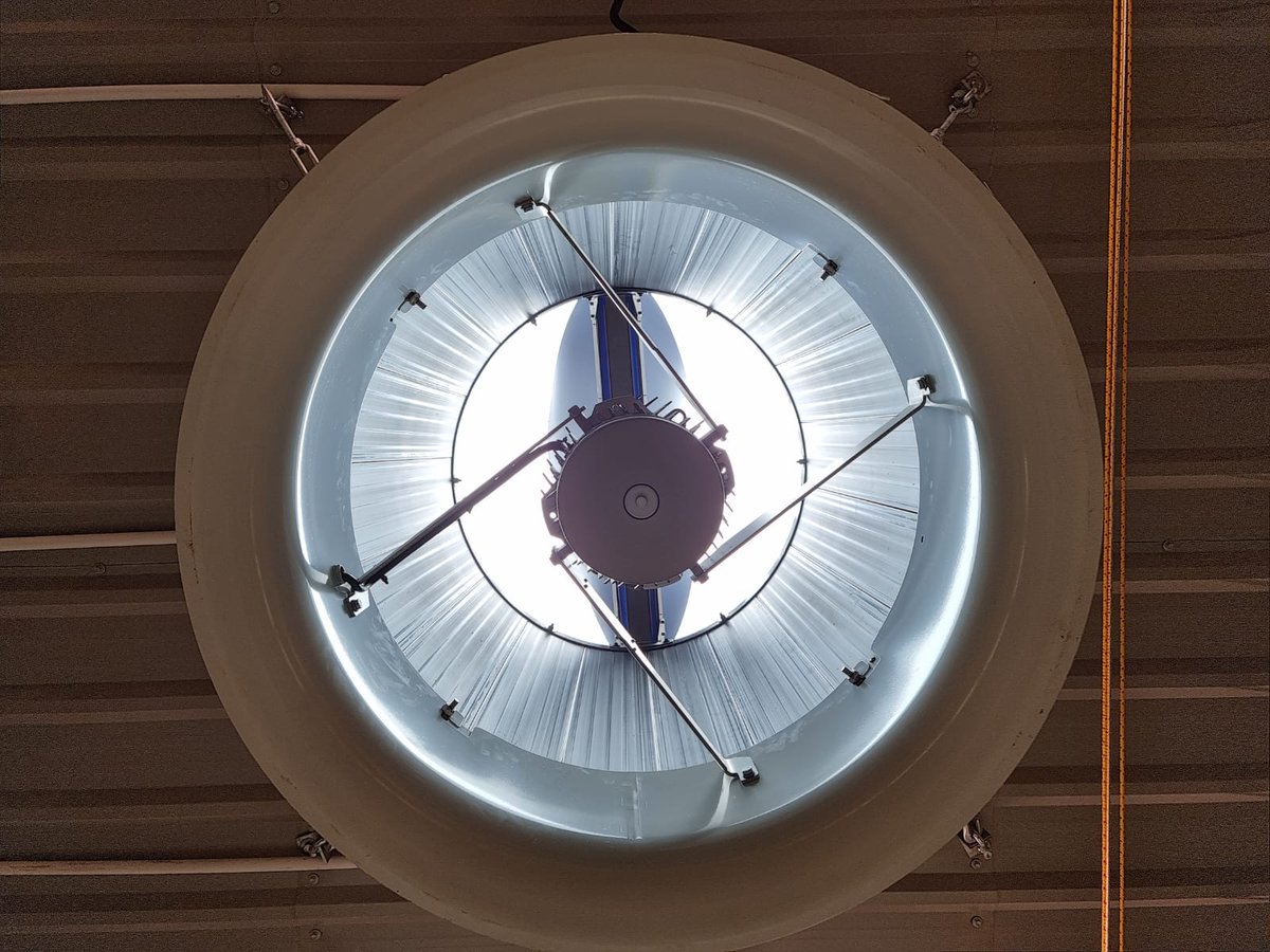 DANHORWOOD tweet media