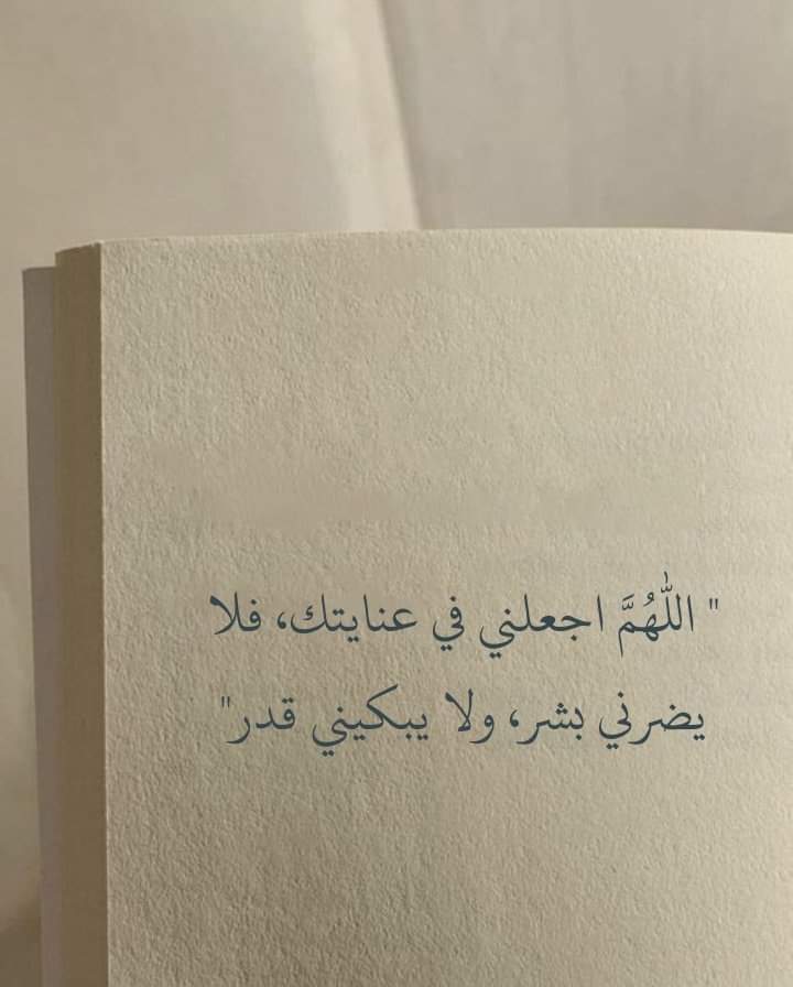 Nour (@nourkemo9) on Twitter photo 