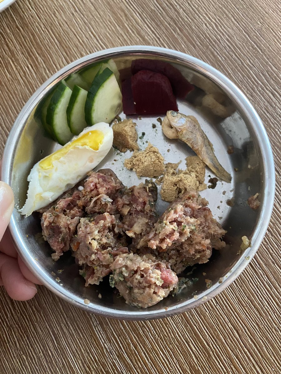 _chocomille's tweet photo. Breakfast for Two! 🐶🙋🏻‍♀️ 

#dogfood #dogfood #chocomillie #chocomille #whatifeedmydog #breakfast https://t.co/MQdAiMvoD6