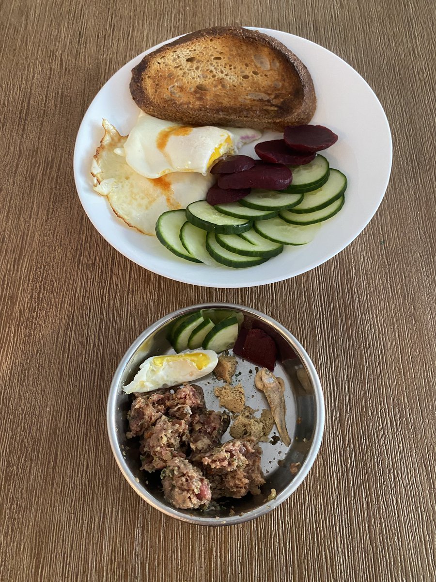 _chocomille's tweet photo. Breakfast for Two! 🐶🙋🏻‍♀️ 

#dogfood #dogfood #chocomillie #chocomille #whatifeedmydog #breakfast https://t.co/MQdAiMvoD6
