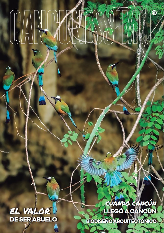 Cancunissimo1's tweet image. Ya está disponible la #RevistaCancuníssimo, edición No. 349 de agosto.
En portada una fotografía de la fotógrafa Claudia de Bou.
► Cuando #Cancún llegó a Cancún
► #Biodiseño arquitectónico
y muchos temas más...

Puedes verla o descargarla aquí: cancunissimo.mx/agosto-2022/