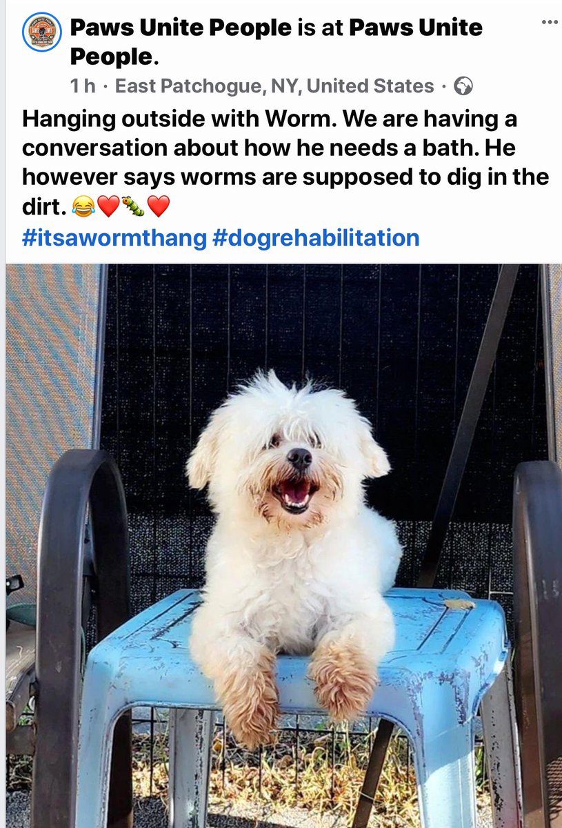 ZeeShore's tweet photo. This is “worm”resident at #pawsunitepeople. people forget that PUP is A #rescue. Now also ‘rescuing’ group of #Afghanrefugges, vets & families #animalrescuers themselves. Please support PUP so they can care for both #animalsandpeople. Both deserve safety.
https://t.co/VDWbJf69bV https://t.co/32dbYNG0gw