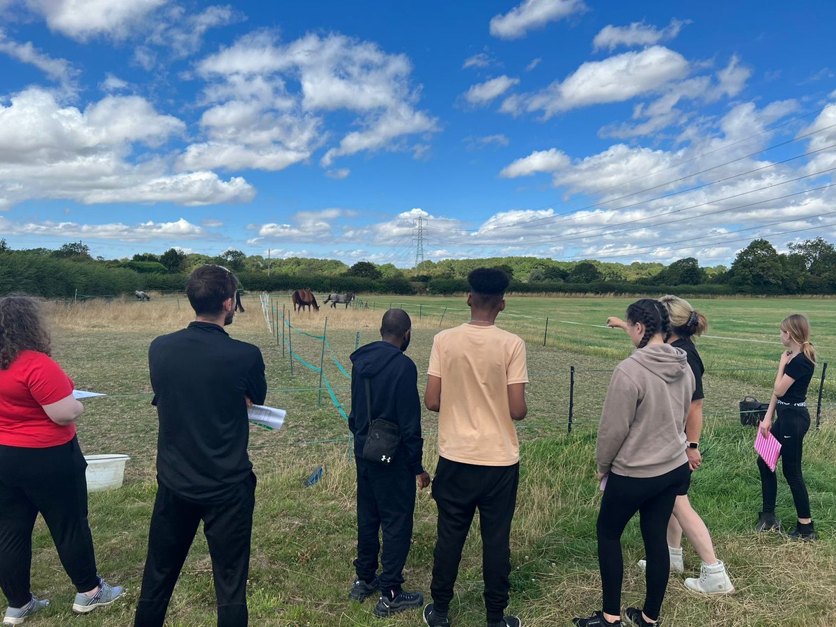 LeicsCares's tweet photo. The young people described feeling calm and relaxed and had a positive experience exploring their emotions through the use of the animals yesterday at the way of the 🐎 @DinaCShale #TogetherWeCan #CEYP https://t.co/t1SXbem41L