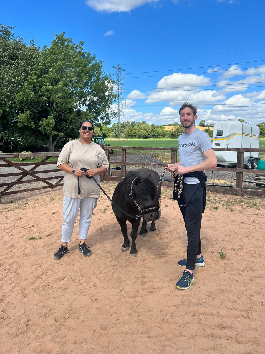 LeicsCares's tweet photo. The young people described feeling calm and relaxed and had a positive experience exploring their emotions through the use of the animals yesterday at the way of the 🐎 @DinaCShale #TogetherWeCan #CEYP https://t.co/t1SXbem41L