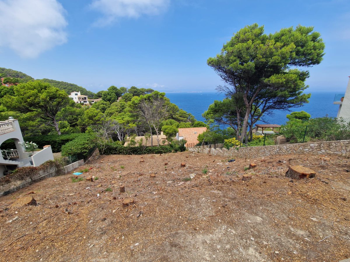 Salvem Begur (@sosaiguafreda) on Twitter photo Properament nou xalet al més pur estil begurenc:
🔴Pineda litoral arrasada molt a prop de la reserva marina de "Ses Negres"
🔴Pendent de més de 20%
L'<a href="/AjBegur/">Ajuntament de Begur</a> segueix amb l'urbanisme especulatiu i desaforat
#SalvemBegur #SaRiera #ATerra #SOSCostaBrava #SOSCosta Properament nou xalet al més pur estil begurenc:
🔴Pineda litoral arrasada molt a prop de la reserva marina de "Ses Negres"
🔴Pendent de més de 20%
L'<a href="/AjBegur/">Ajuntament de Begur</a> segueix amb l'urbanisme especulatiu i desaforat
#SalvemBegur #SaRiera #ATerra #SOSCostaBrava #SOSCosta