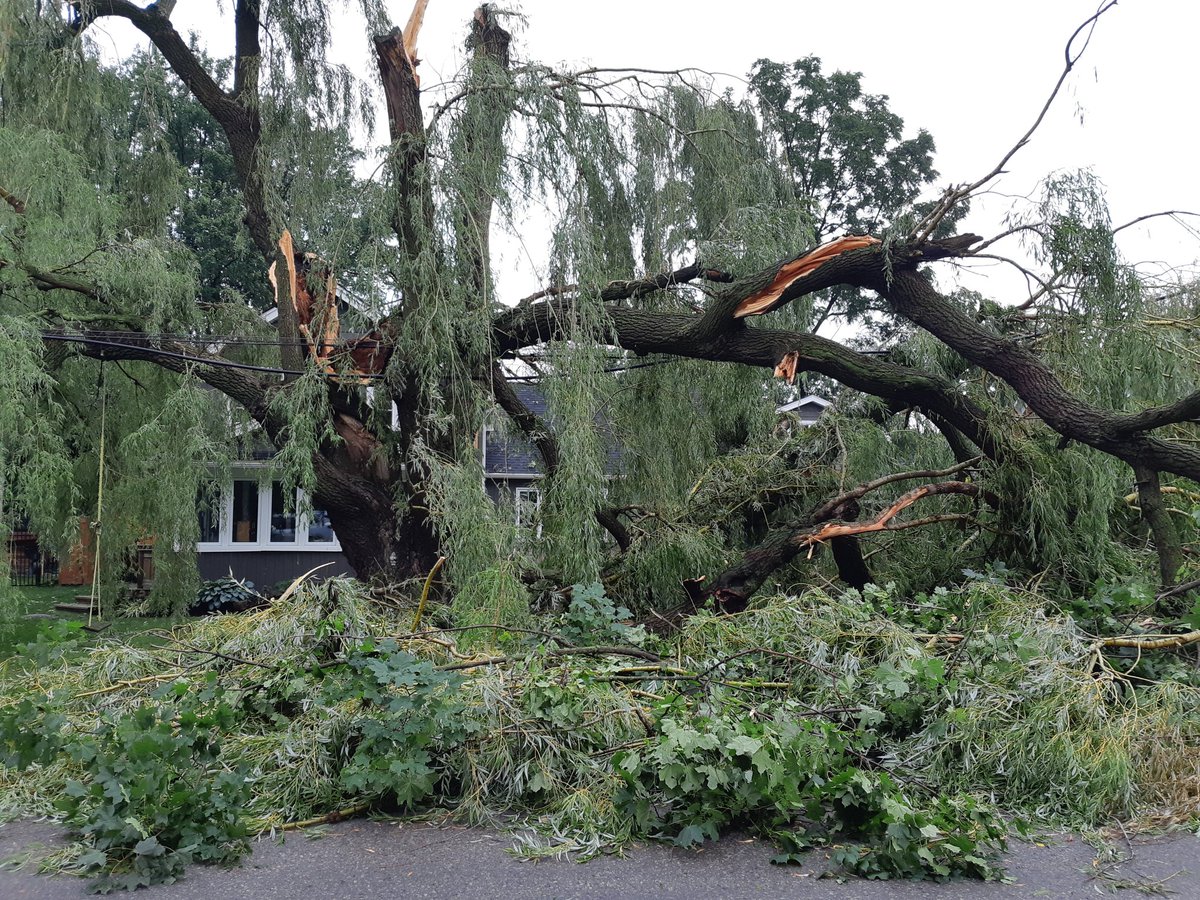 TheGrand101FM's tweet photo. Clean-up efforts are underway in Elora and Salem following last night's severe thunderstorm. 

Trees and Hydro poles down, some residents still without power. #ONStorm #Elora #Salem @CentrWellington @wellingtncounty ⛈ https://t.co/caHfVeERYk