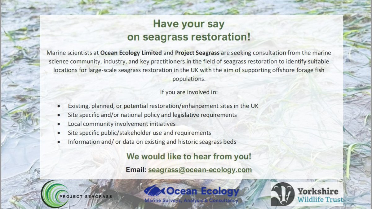 Consultation Opportunity (1/3): Marine scientists at Ocean Ecology Limited and Project Seagrass, are seeking consultation from the #marinescience community, industry, and key specialists and/or practitioners in the field of #seagrassrestoration...