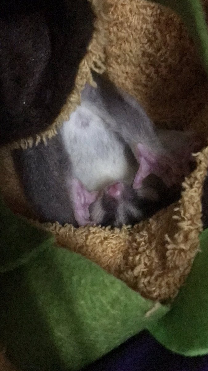 she so cute🥰
