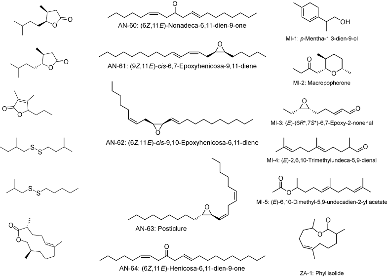 MACE- MAss spectra for Chemical Ecology tweet media