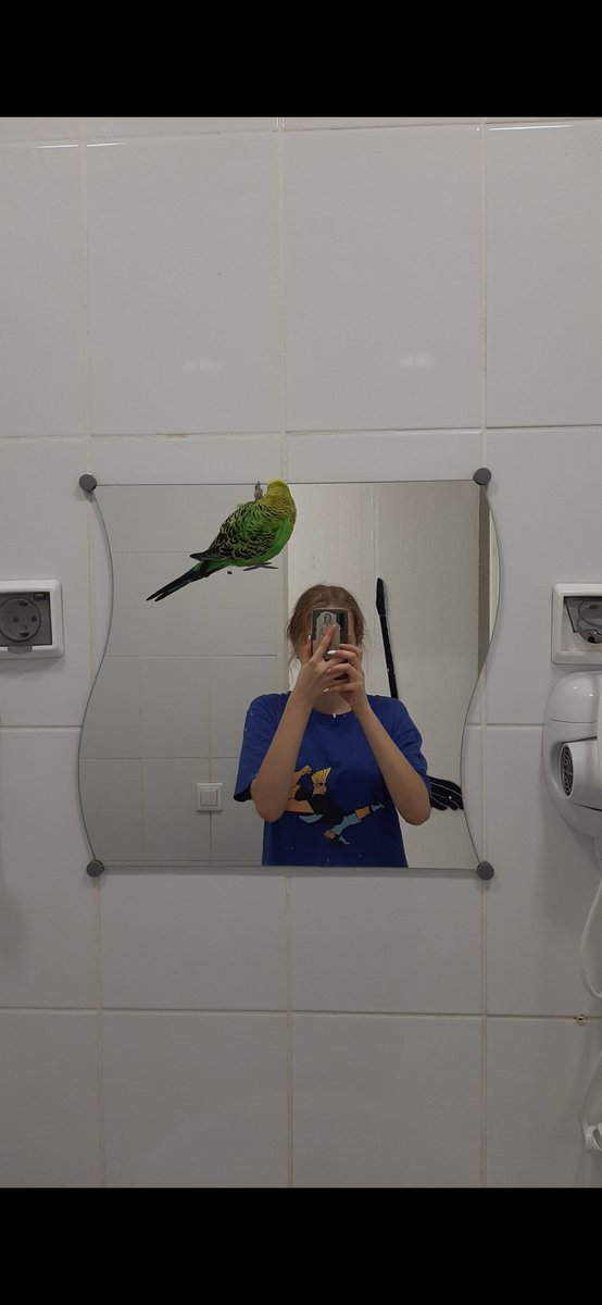 llinaayg's tweet photo. впервые за долгое время полететь на самолёте,
купить книжки, 
получить драгоценный подарок от брата,
прогулять всю ночь до утра,
пройти сотни прослушиваний и в итоге поступить в театральный институт!! 🥳

вобщем-то да, лето было насыщенным 🤭🍓 https://t.co/TScWS8iQE4
