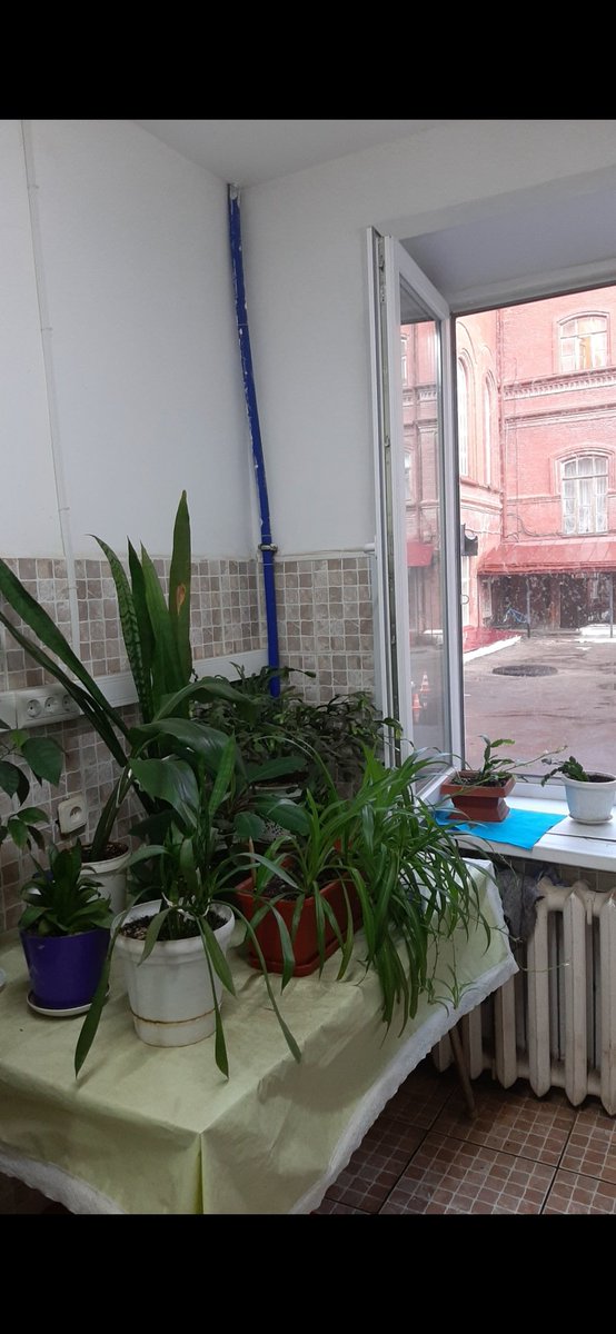 llinaayg's tweet photo. я очень надеюсь, что вы в безопасности и чувствуете себя хорошо🙏
надеюсь, что буду появляться тут чаще 😌🤲

я скучала по вам 🥺😚 https://t.co/FC5CUkRe4k