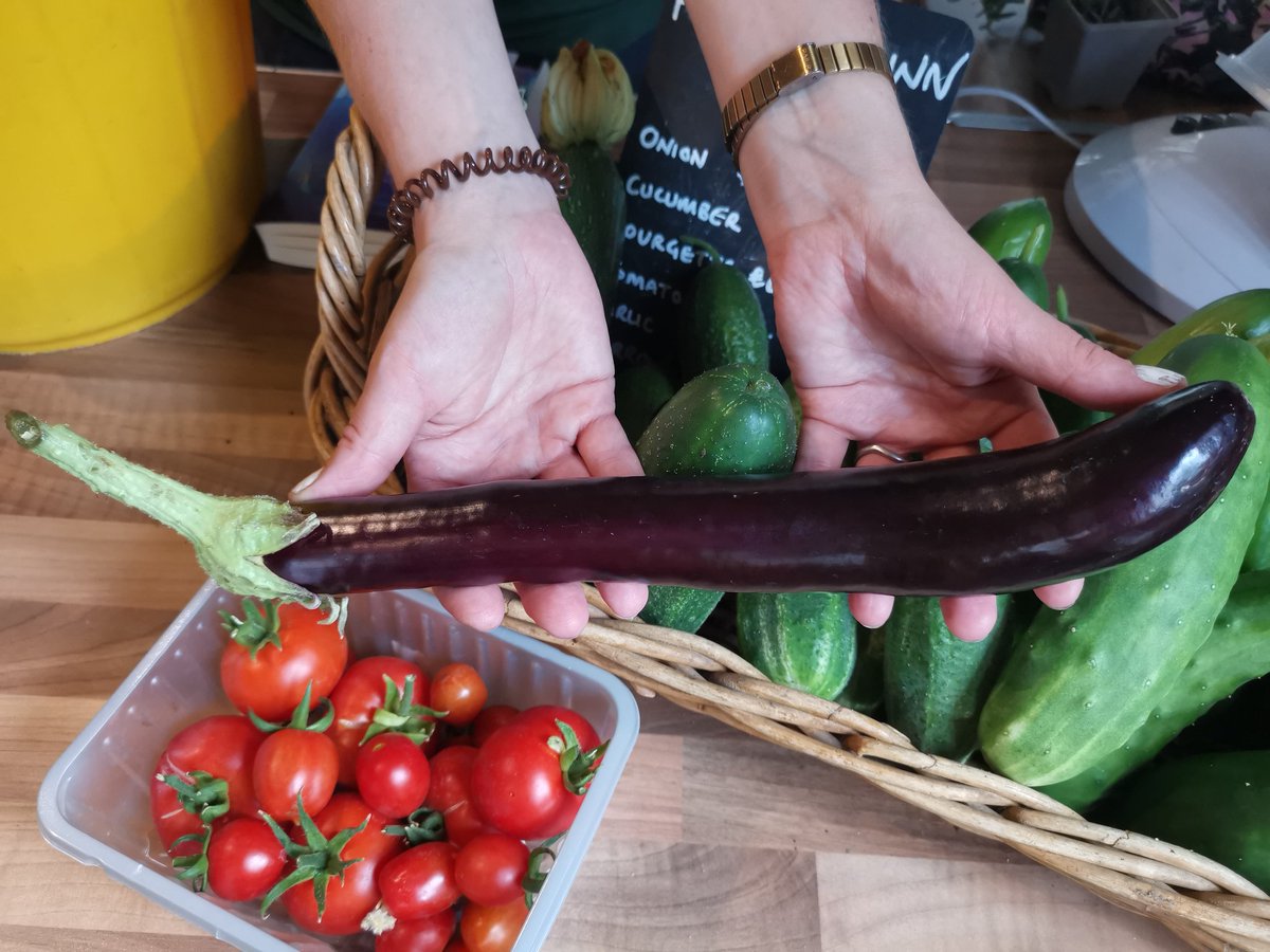 Plot2Shop's tweet photo. We have lots of cucumbers and the first of our speciality Italian long purple aubergines in the shop https://t.co/Fm2bRHetjx