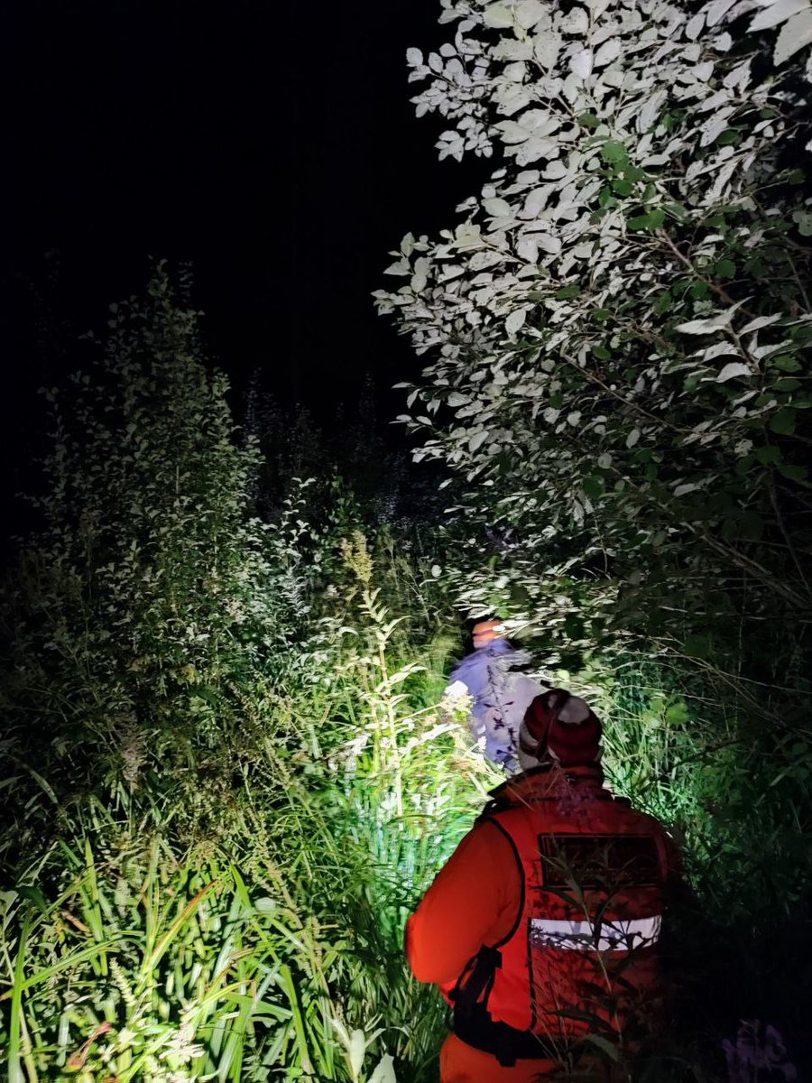 Ирина Shtil LA tweet media