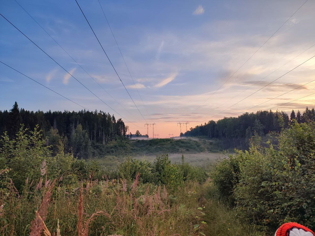 Ирина Shtil LA tweet media