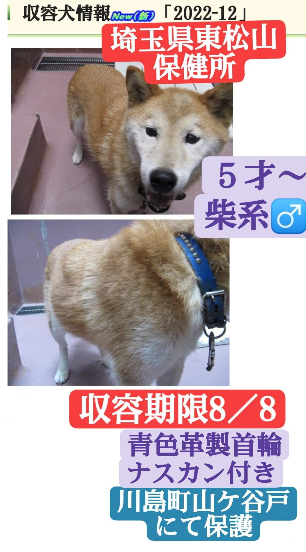 ふねぽん Dokuganryu Twitter