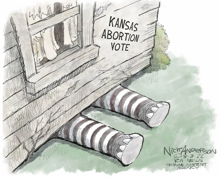 CrockerBoy's tweet photo. #Kansas #ProChoiceWins https://t.co/TaCYDNKMaC
