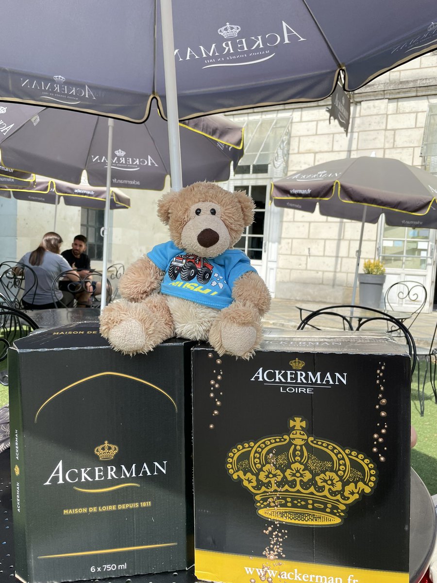 Al the Bear tweet media