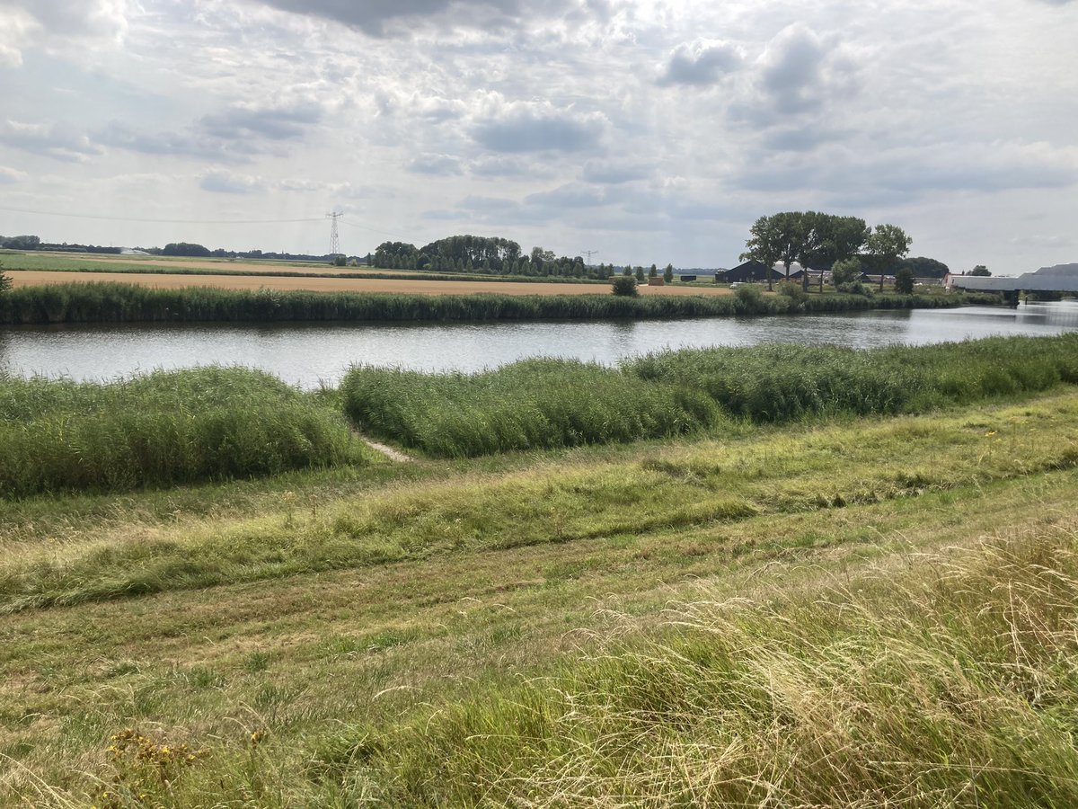 Fred, Brabantilliaan tweet media