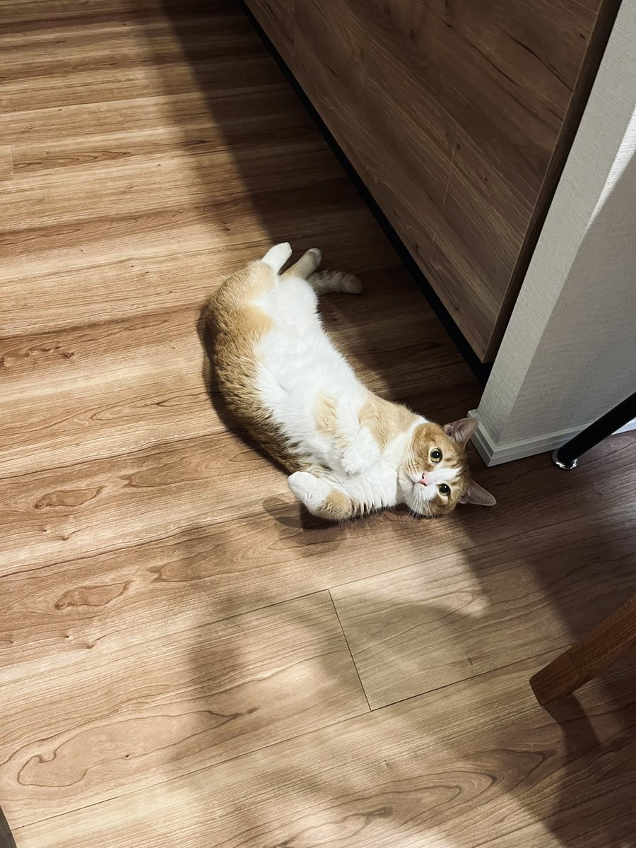 落ちてた
