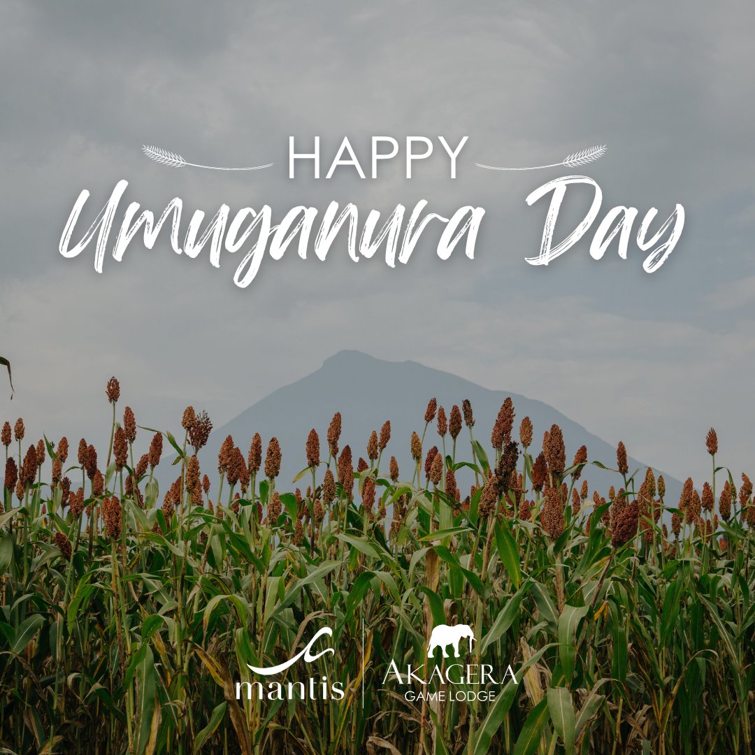 AkageraGame's tweet photo. Wishing you a happy Umuganura Day!
#AkageraGameLodge #Mantis #MantisCollection #AdventureTravel #Safari #EcoTourism #Conservation #HappyUmuganuraDay https://t.co/1ALLulhMWw