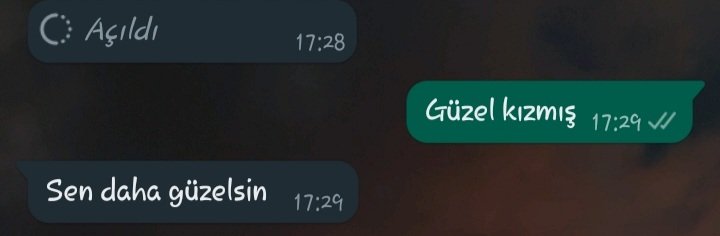 Bisi yok bisi yok bisi yok