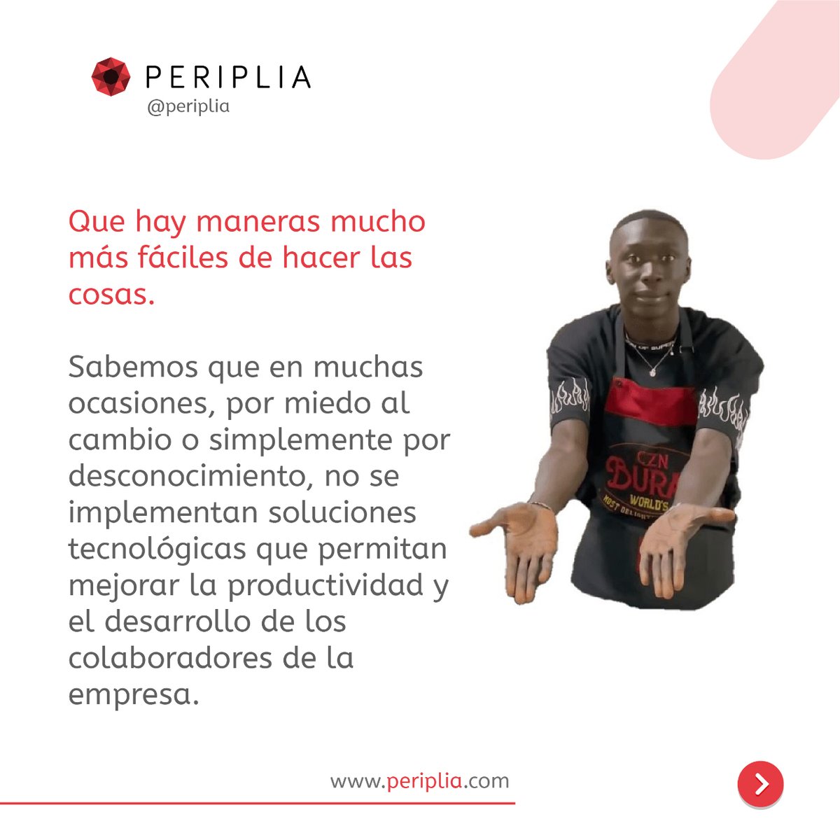 Periplia tweet media