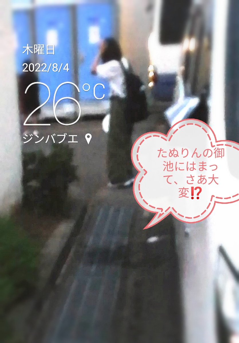 (*´･ω･)、、、例え排水溝にやっちゃっても、たぬりんには通用しないの、、、

あと二人が待てなくて❗もう❗