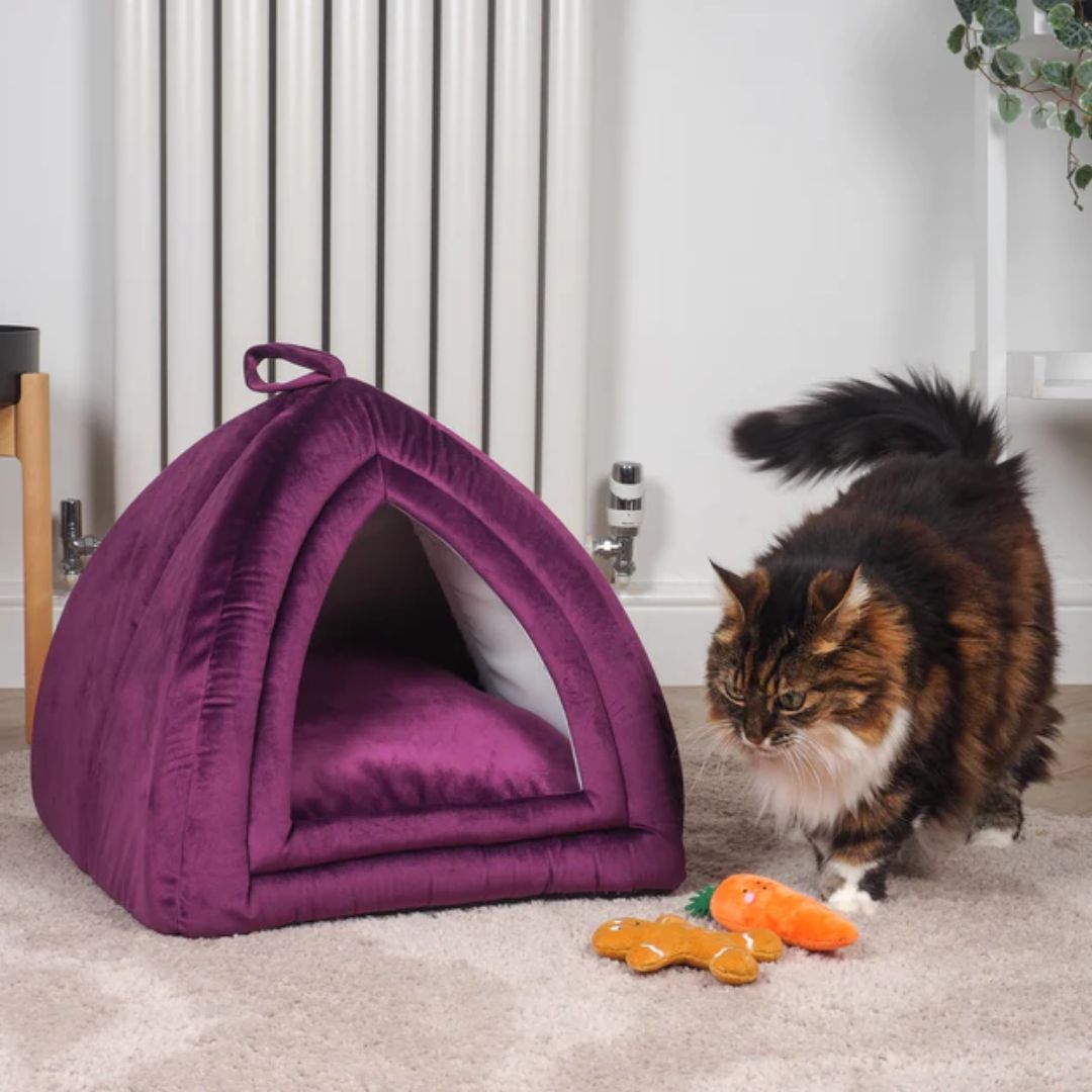 UK CHRISTMAS WORLD tweet media