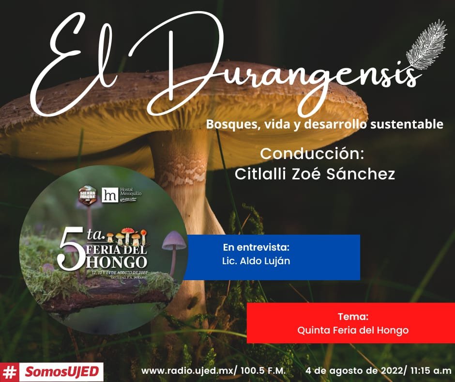 El 12 de agosto inicia la Quinta Feria del Hongo, evento único en su tipo en el Norte del país. Conoce los detalles hoy en El Durangensis. ¡Te esperamos a las 11:15 a.m!