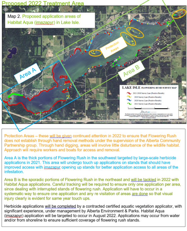 LilsaWater's tweet photo. #FloweringRush is an invasive aquatic plant that has infested #LakeIsle. π
Alberta Environment + Parks' Invasive Species Specialist has provided information on the 2022 Imazapyr treatment area.
#InvasiveSpecies #AlbertaLake https://t.co/l1USsyzEeA