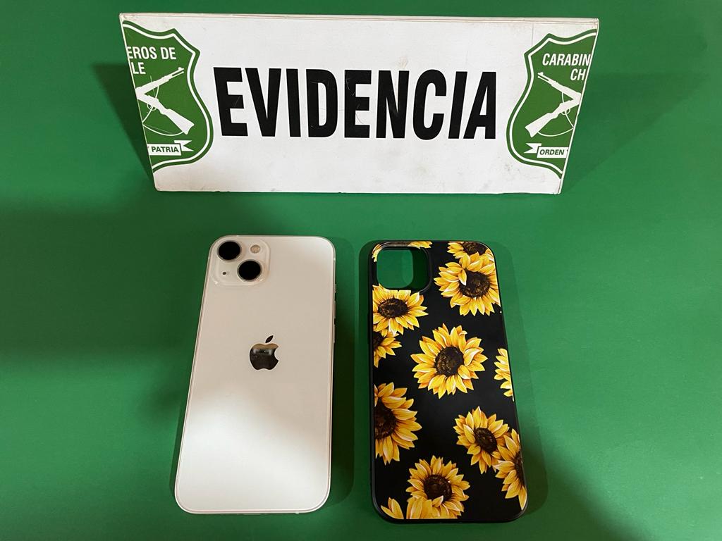CarabLosRios's tweet photo. Por receptación de especies robadas, Carabineros de la SIP de la 4ªComisaría de #RioBueno detuvo a cuatro sujetos que mantenían en domicilio de la localidad de #Ignao, un teléfono celular denunciado por hurto. https://t.co/6YCoDQKQpf