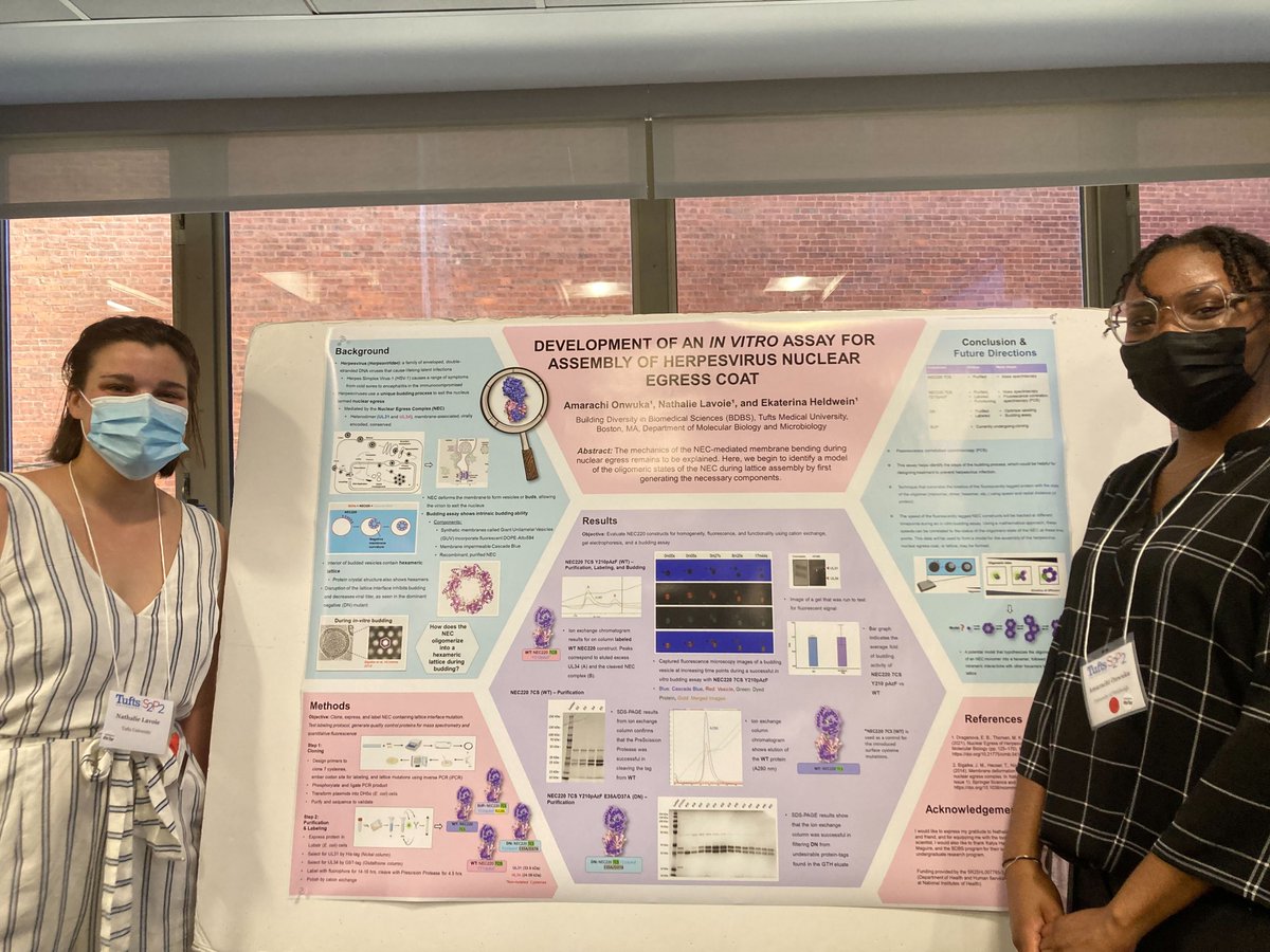 Heldwein Lab tweet media