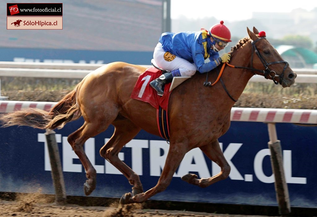 solohipica's tweet photo. GRAND FRIEND con Luis Torres ganando el Clásico Peso Reglamento "Gonzalo Larraín Gandarillas" sobre 1300 metros el Jueves 4 de Agosto en el Hipódromo Chile #solohipica #GrandFriend #LuisTorres #HipódromoChile #ClásicoGonzaloLarraínG #fotooficial https://t.co/2QsgkWgwAz