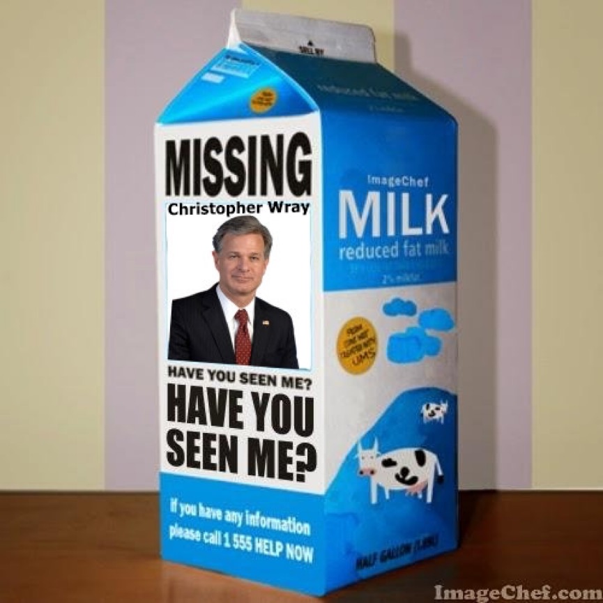 841920Meema6's tweet photo. Question for @POTUS @WhiteHouse @VP @SenateDems 
Where is this man &amp; why is he still the director of the FBI?
Why does it feel that every step of the way #ChristoperWray served as Trump's personal protector the way #BillBarr did at DOJ?
Give him a subpoena but first-
#FireWrayNow https://t.co/kni0kNS8ye