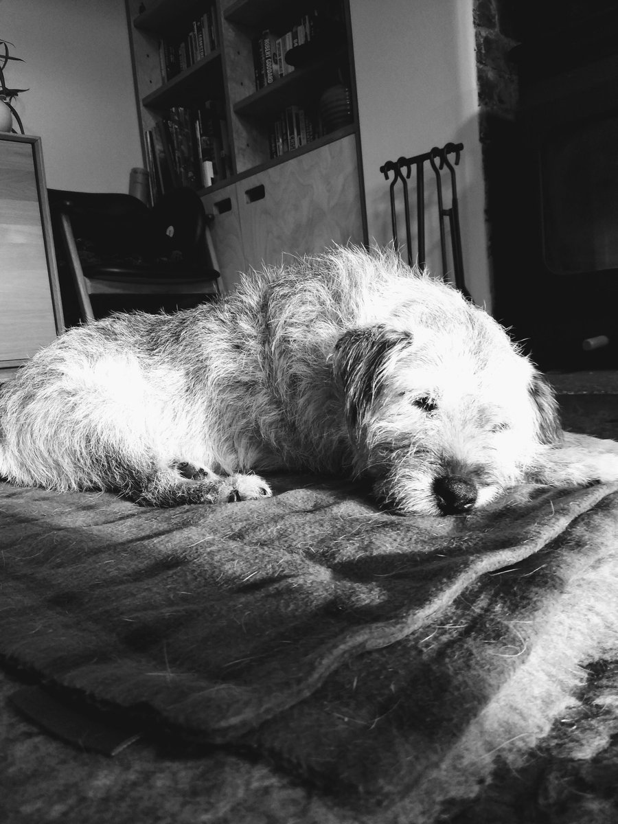 alfiescruff's tweet photo. @ArthBychan Back in the day…#theduster …still a big miss 💔 https://t.co/XPgWv7kLcg