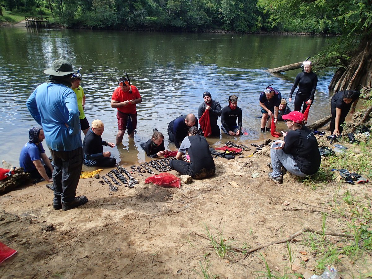 Caitlin Sweeney tweet media