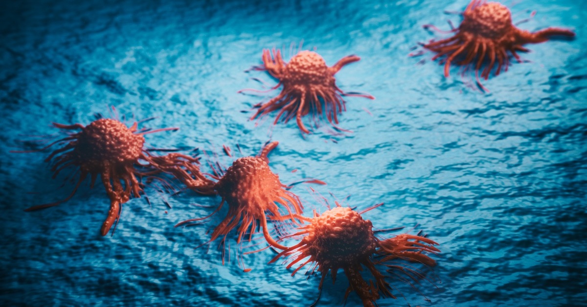 In the hope of understanding the cellular mechanisms linked to cancer, a major health challenge worldwide, a research team is melding biology, physics, and math: bit.ly/3OTGGRu.