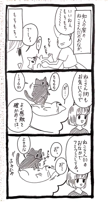 【ねこさんたち】もちもち腹 