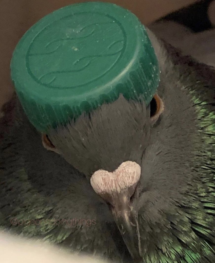 If this guy came up to your girl and kissed her right in front of you what would you do?